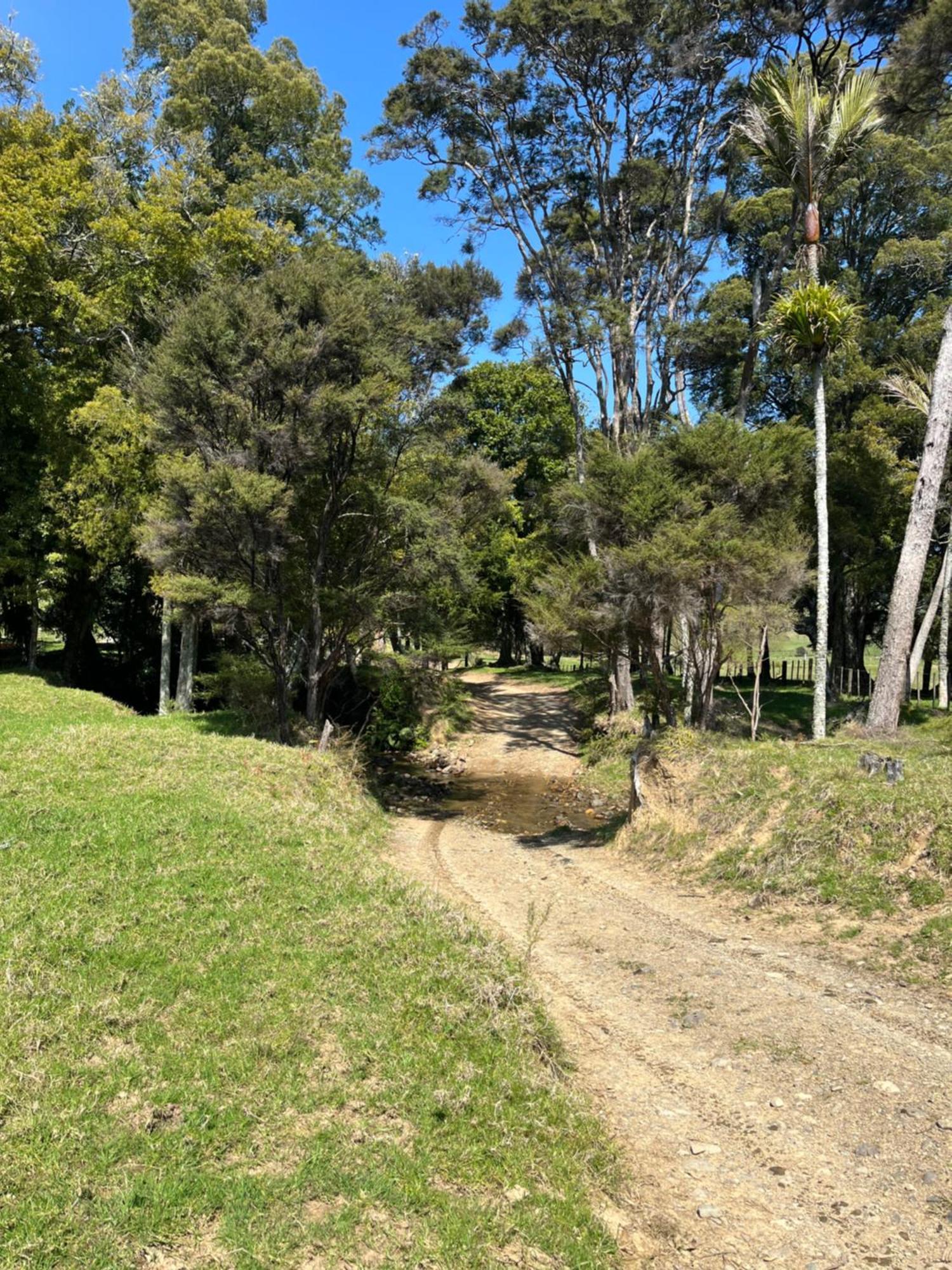 White Star Station Farm Holiday Park Coromandel Buitenkant foto
