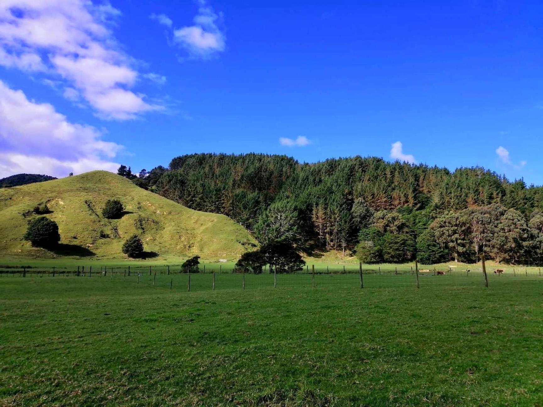 White Star Station Farm Holiday Park Coromandel Buitenkant foto