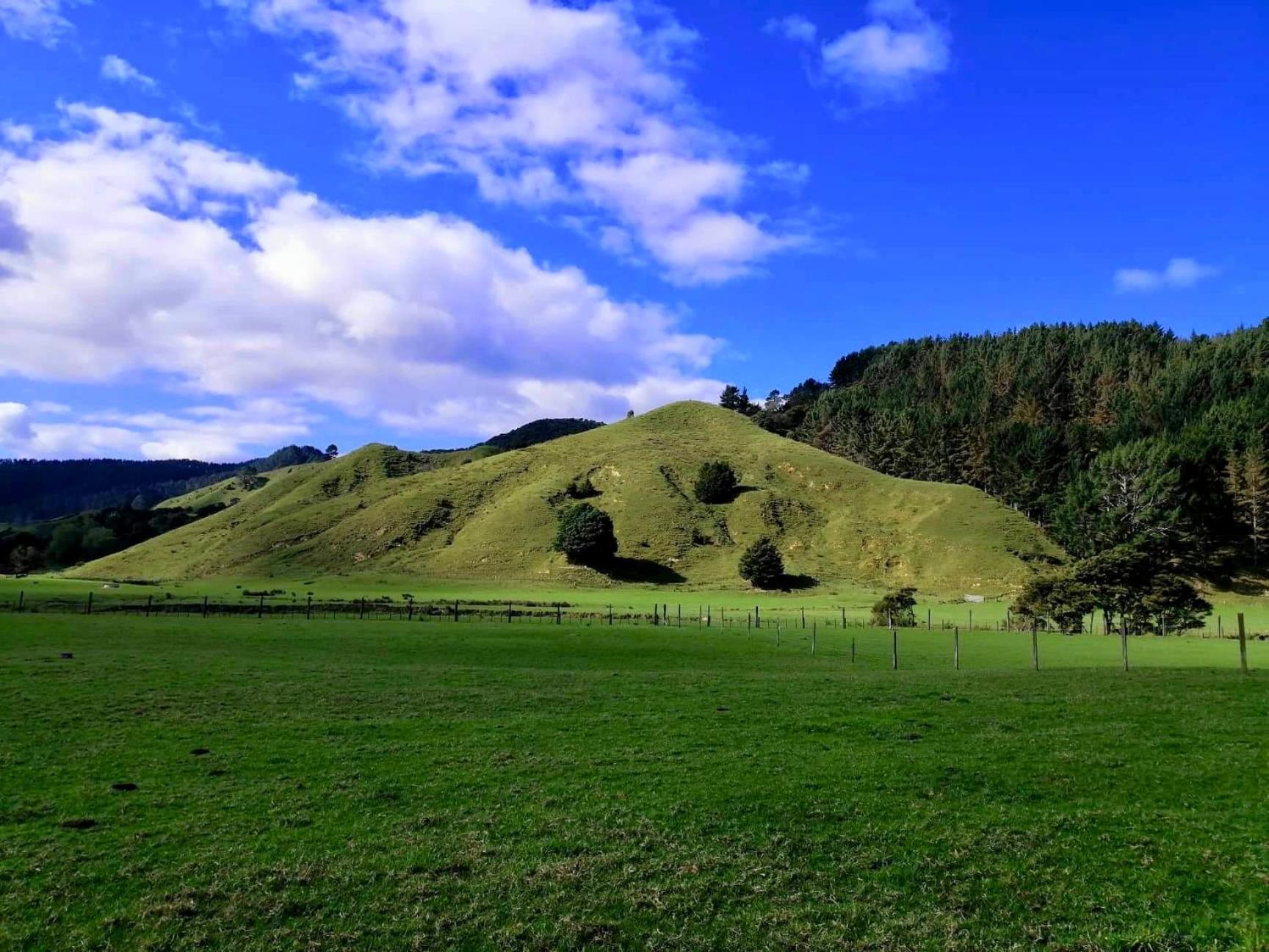 White Star Station Farm Holiday Park Coromandel Buitenkant foto